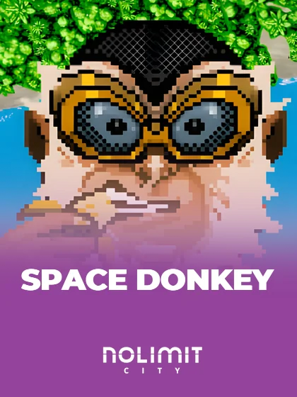 Space Donkey